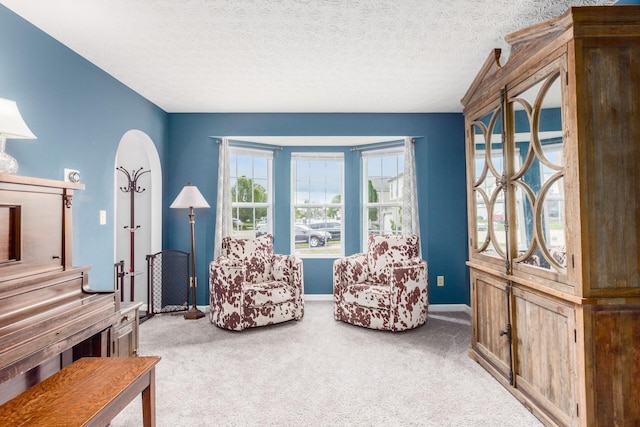 2535 Linbaugh Rd, Grove City, OH 43123 - living area featuring carpet, baseboards, and a textured ceiling