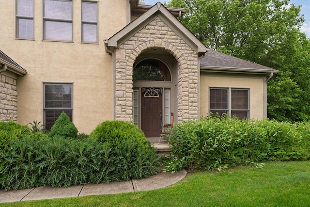 7415 Sand Spurrey Ct, Westerville, OH 43082 - view of exterior entry featuring stucco siding, stone siding, and a lawn