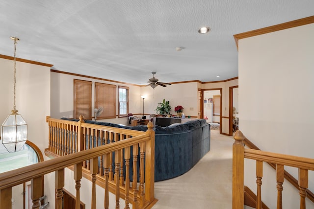 7415 Sand Spurrey Ct, Westerville, OH 43082 - living room with ornamental molding, ceiling fan, and light colored carpet