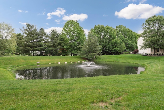 7415 Sand Spurrey Ct, Westerville, OH 43082 - water view