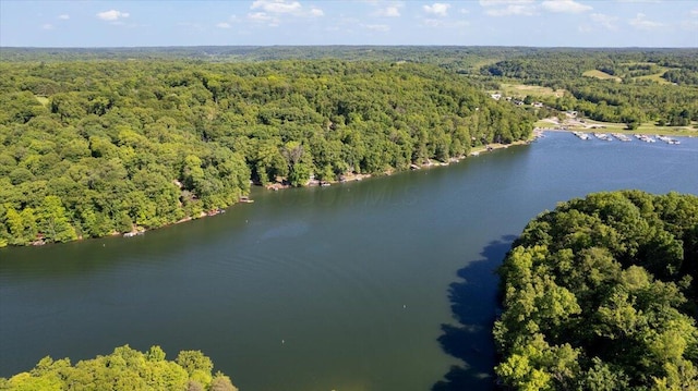 653 Natchez Ln, Sugar Grove, OH 43155 - bird's eye view of a heavily wooded area and a large body of water
