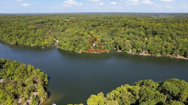 653 Natchez Ln, Sugar Grove, OH 43155 - view of property location featuring a forest, property parcel outlined, and a nearby body of water