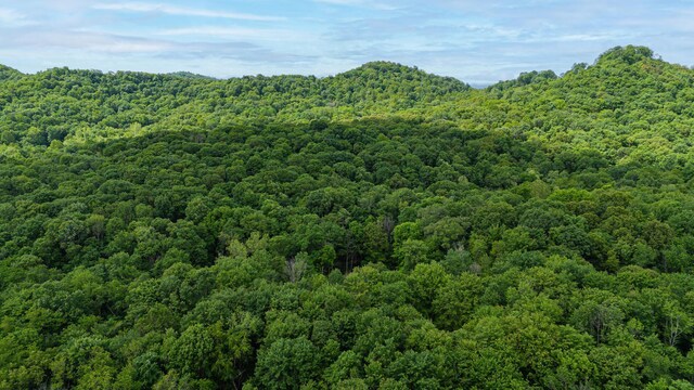 1959 Chapel Creek Rd, Chillicothe, OH 45601 - view of mountain backdrop featuring a forest