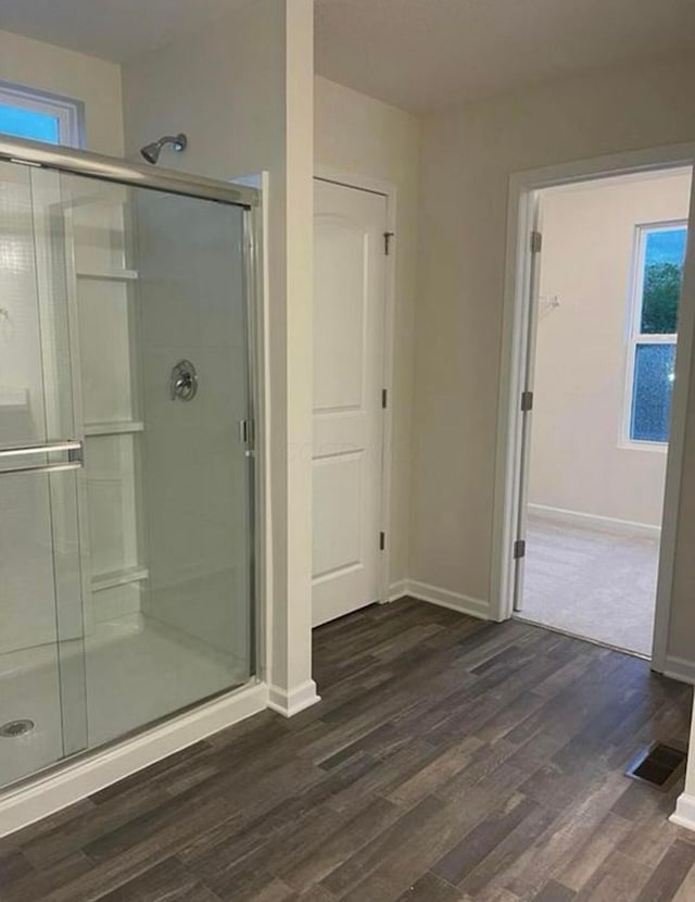 257 Whitetail Trl, Johnstown, OH 43031 - bathroom featuring wood finished floors, a shower stall, baseboards, and plenty of natural light