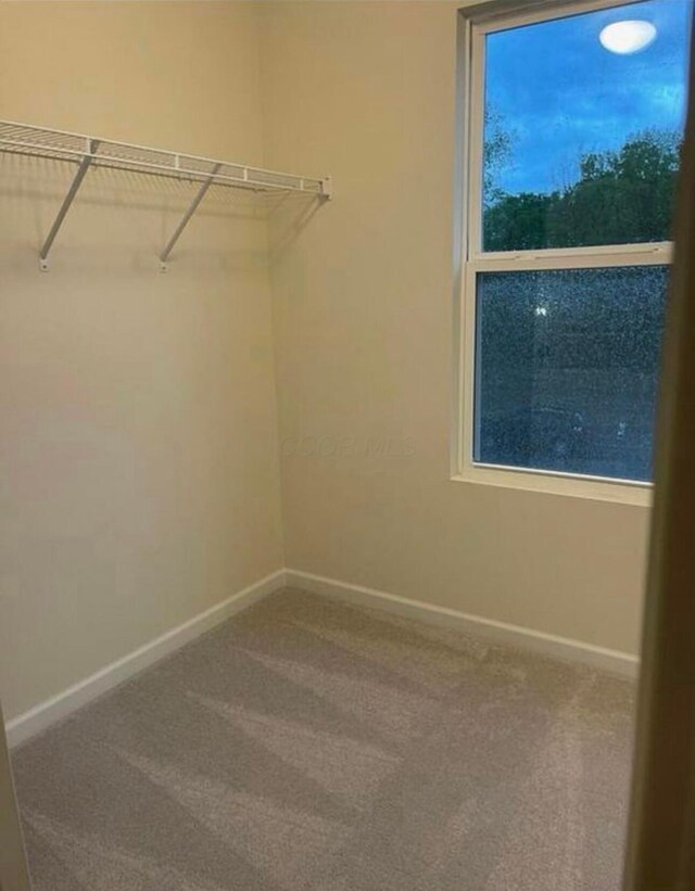 257 Whitetail Trl, Johnstown, OH 43031 - walk in closet with carpet