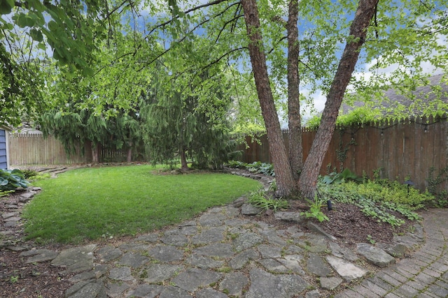 249 Blenheim Rd, Columbus, OH 43214 - view of yard