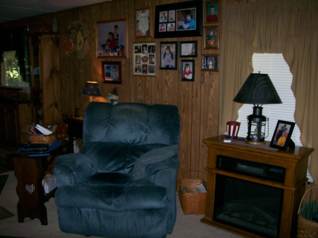258 Timberline Dr, Circleville, OH 43113 - living area with carpet and wooden walls