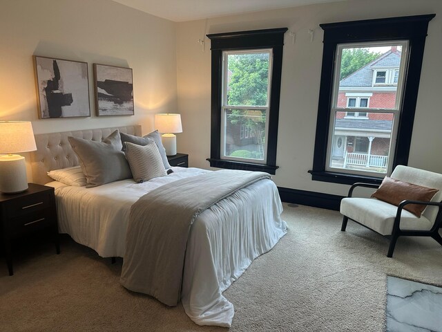 1217 Franklin Ave, Columbus, OH 43205 - view of carpeted bedroom