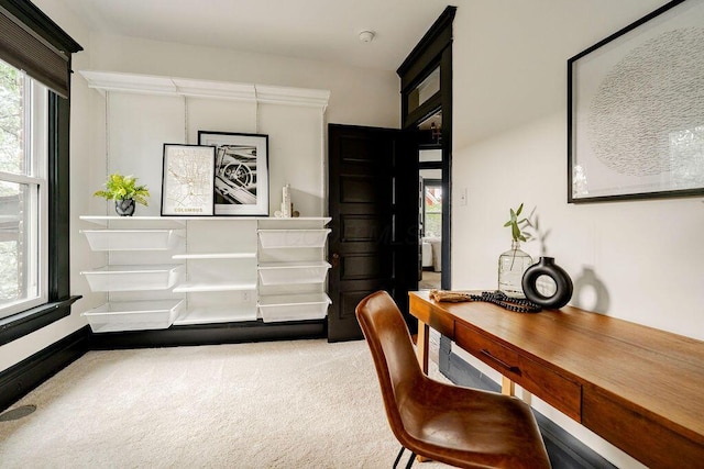 1217 Franklin Ave, Columbus, OH 43205 - office with carpet flooring and baseboards
