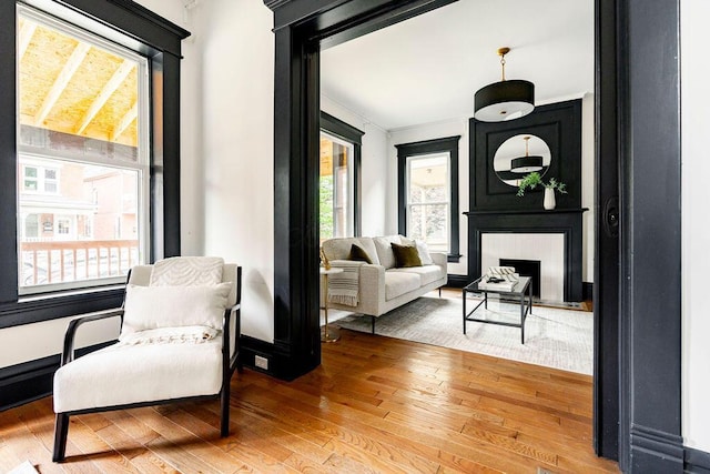 1217 Franklin Ave, Columbus, OH 43205 - living area featuring wood finished floors, a fireplace, and ornamental molding