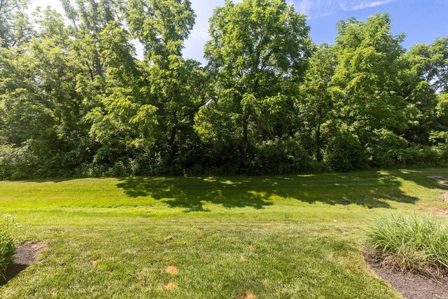425 Westgreen Ln, Westerville, OH 43082 - photo 32