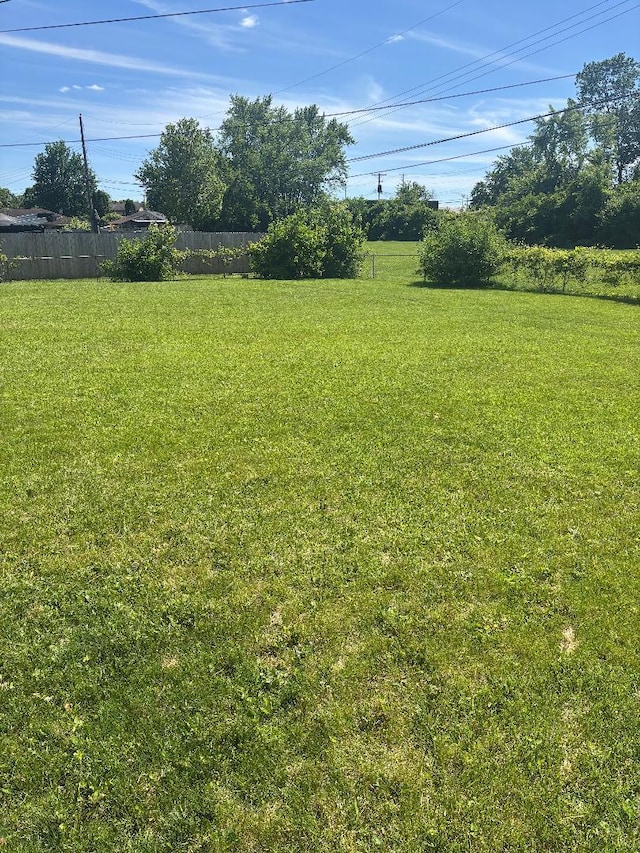 909 Stephen Dr W, Columbus, OH 43204 - view of yard