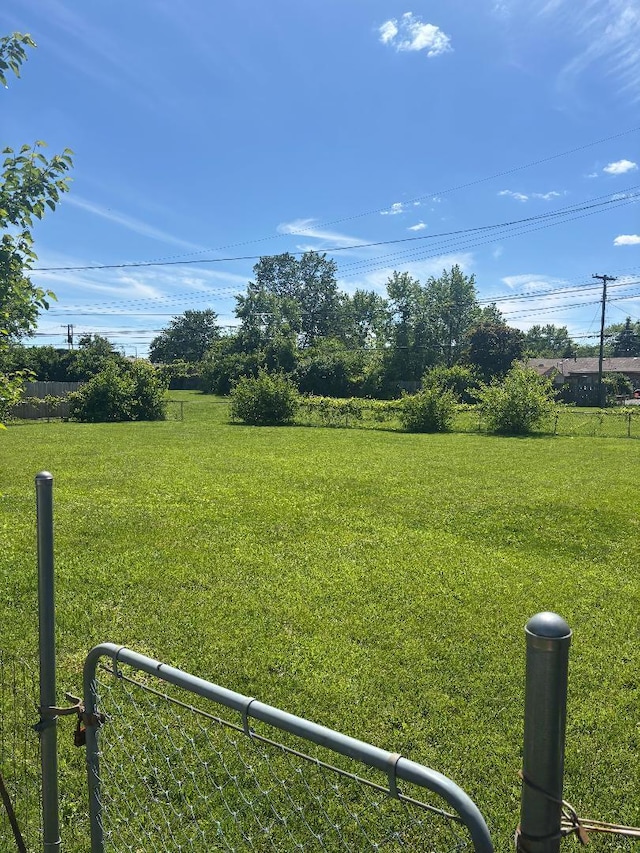 909 Stephen Dr W, Columbus, OH 43204 - view of yard