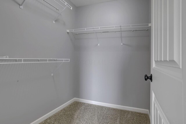 1701 Marigold St, Lewis Center, OH 43035 - photo 50