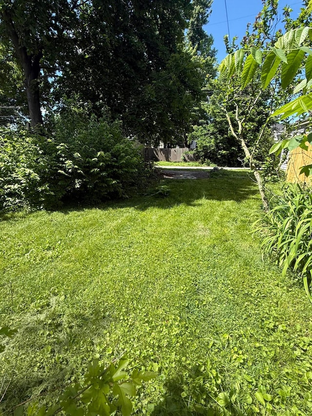 158 E Morrill Ave, Columbus, OH 43207 - view of green lawn