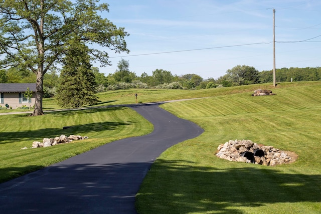 350 S Houston Pike, South Vienna, OH 45369 - view of home's community with a yard