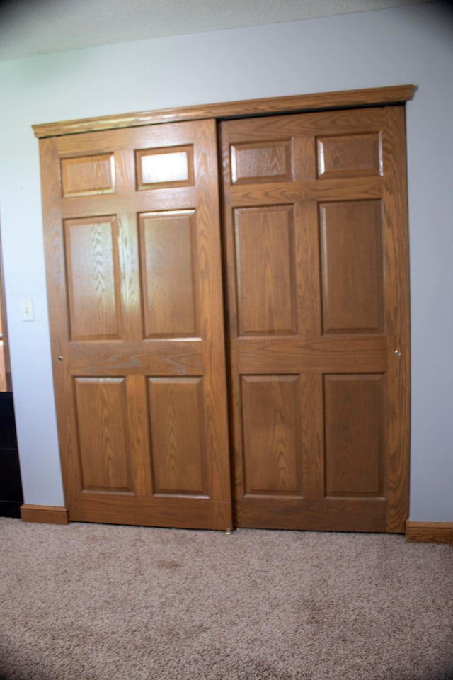350 S Houston Pike, South Vienna, OH 45369 - detailed view of carpet floors and baseboards