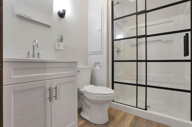 683 E 2nd St, Chillicothe, OH 45601 - bathroom featuring wood finished floors, a shower stall, toilet, and vanity