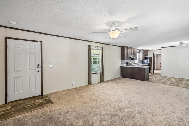 50 Winter Pine Dr, Delaware, OH 43015 - unfurnished living room with light carpet, ceiling fan, and a textured ceiling