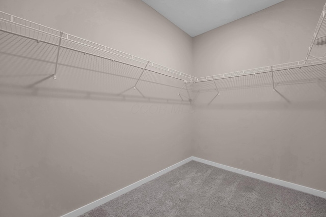 7079 Celebration Dr, Powell, OH 43065 - photo 21