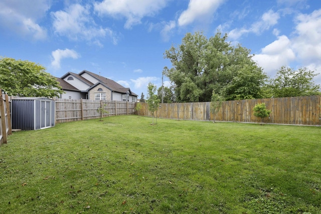 7400 Olympic Club Ct, Pickerington, OH 43147 - view of yard