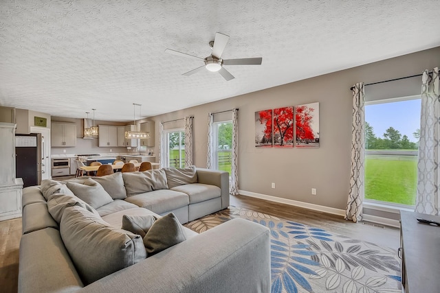 4483 County Road 124, Cardington, OH 43315 - living area featuring ceiling fan, light wood-style flooring, baseboards, and a textured ceiling