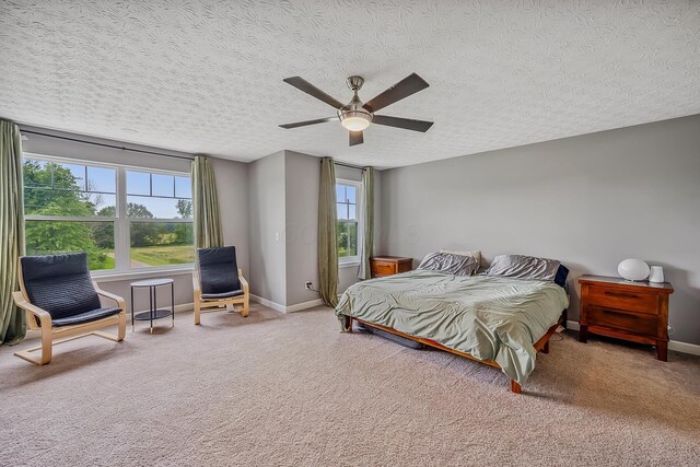4483 County Road 124, Cardington, OH 43315 - bedroom with multiple windows, a textured ceiling, baseboards, and carpet floors