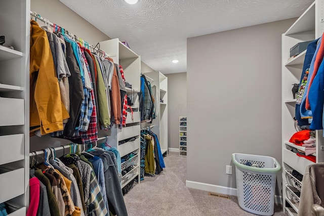4483 County Road 124, Cardington, OH 43315 - walk in closet featuring carpet flooring