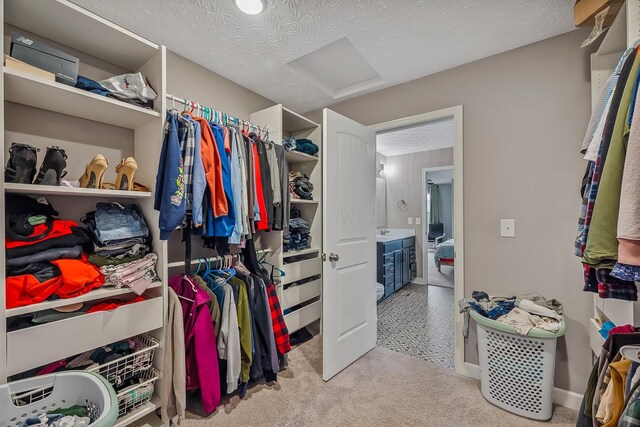 4483 County Road 124, Cardington, OH 43315 - walk in closet featuring attic access and carpet floors