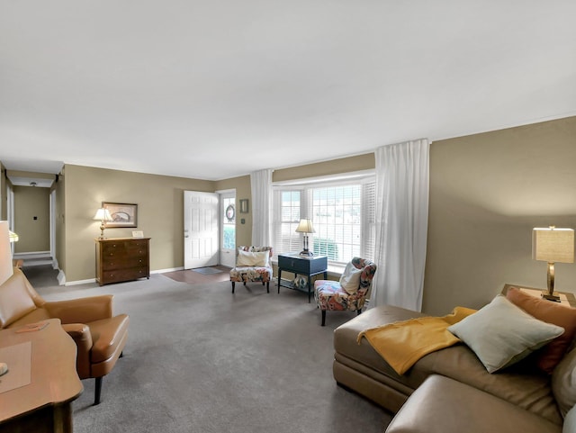 954 Circle Dr, Circleville, OH 43113 - living area featuring carpet and baseboards