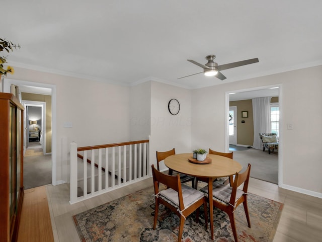 954 Circle Dr, Circleville, OH 43113 - dining area with a ceiling fan, ornamental molding, and light wood-type flooring