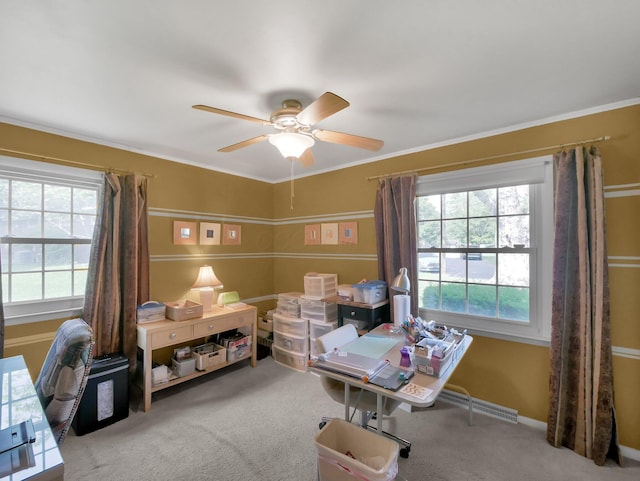 954 Circle Dr, Circleville, OH 43113 - home office featuring carpet flooring, a ceiling fan, and crown molding