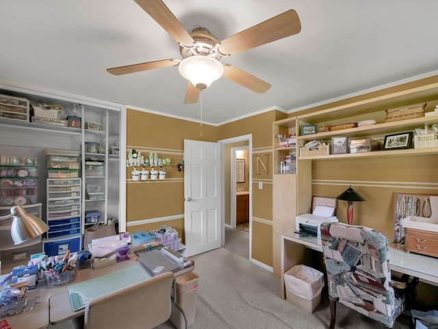 954 Circle Dr, Circleville, OH 43113 - home office featuring ceiling fan, carpet, and crown molding