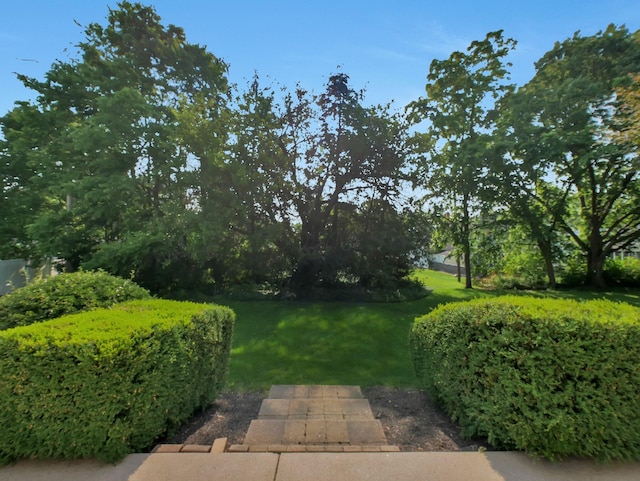 954 Circle Dr, Circleville, OH 43113 - view of grassy yard