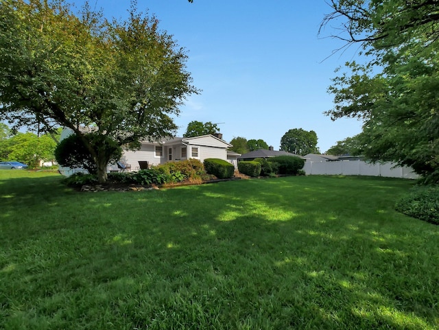 954 Circle Dr, Circleville, OH 43113 - view of yard