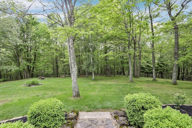 13115 Jack Run Rd, Rockbridge, OH 43149 - view of grassy yard