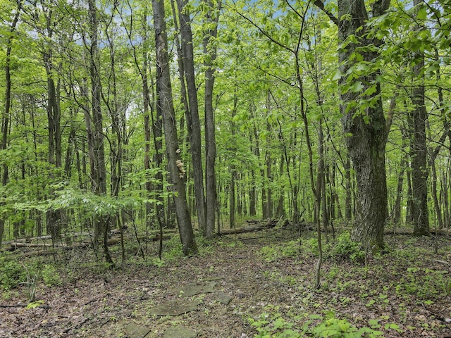 13115 Jack Run Rd, Rockbridge, OH 43149 - view of wooded area