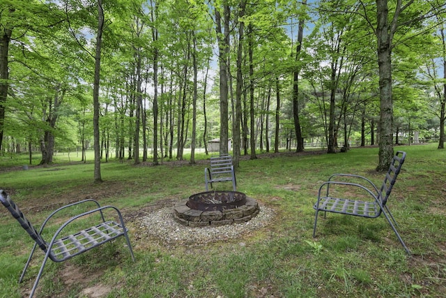 13115 Jack Run Rd, Rockbridge, OH 43149 - view of yard featuring a fire pit
