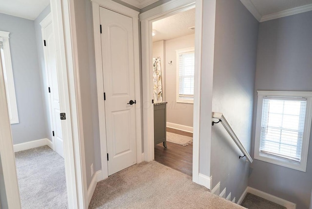 258 E Welch Ave, Columbus, OH 43207 - corridor with an upstairs landing, carpet flooring, baseboards, and crown molding