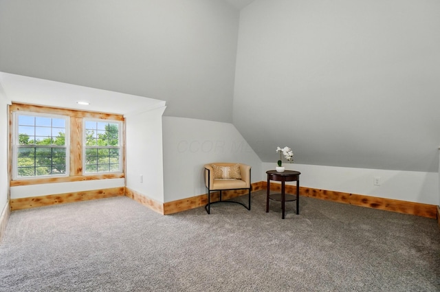 525 Saint Clair Ave, Columbus, OH 43203 - sitting room with baseboards, carpet, and vaulted ceiling