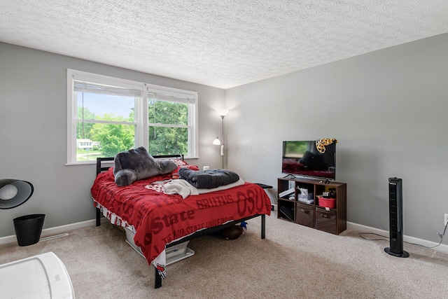 6407 Skywae Dr, Columbus, OH 43229 - bedroom with carpet flooring, baseboards, and a textured ceiling
