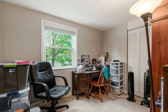6407 Skywae Dr, Columbus, OH 43229 - office area with carpet flooring, a textured ceiling, and baseboards