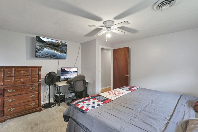 223 Cherry St, Warsaw, OH 43844 - photo 37