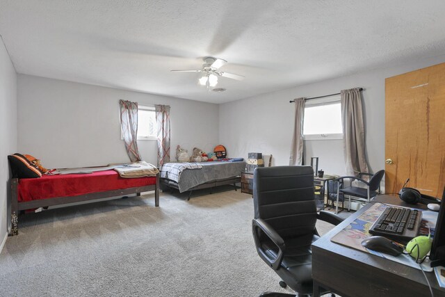 223 Cherry St, Warsaw, OH 43844 - photo 40