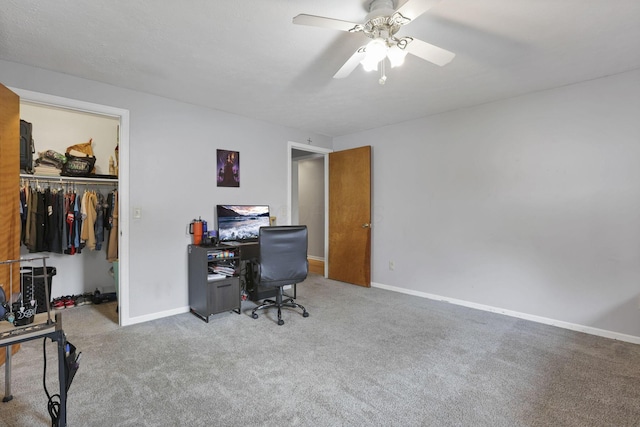 223 Cherry St, Warsaw, OH 43844 - photo 42