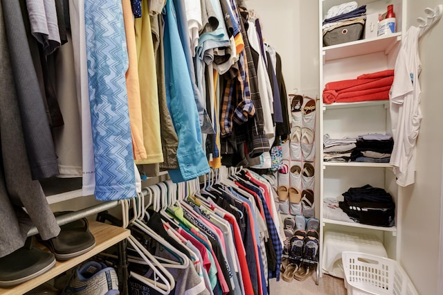 2539 Trotterslane Dr, Columbus, OH 43235 - view of walk in closet