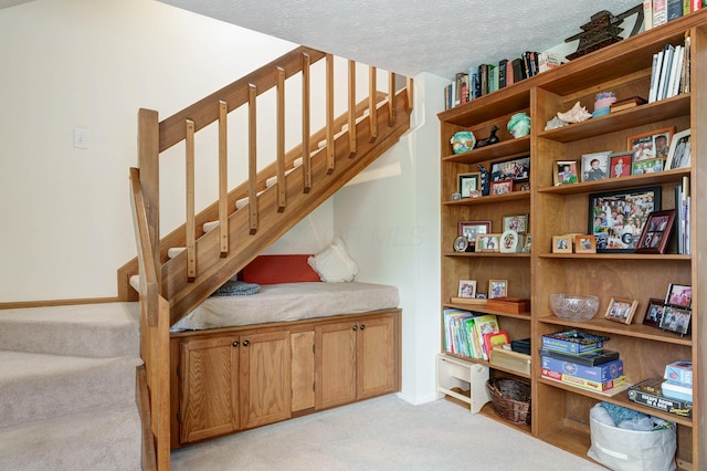 2539 Trotterslane Dr, Columbus, OH 43235 - stairway with carpet floors and a textured ceiling