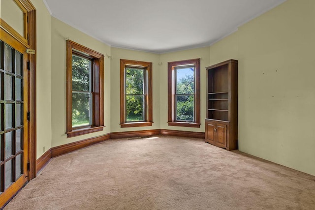 4093 State Route 257, Radnor, OH 43066 - carpeted empty room featuring plenty of natural light and ornamental molding