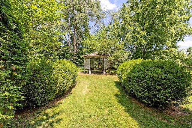 4093 State Route 257, Radnor, OH 43066 - view of green lawn