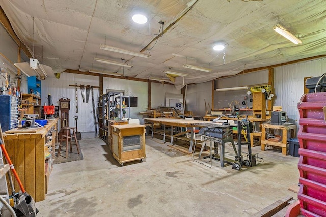 4093 State Route 257, Radnor, OH 43066 - below grade area featuring a workshop area